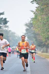BIB: 26391
                            <button type="button" onclick="openModal(10130022)" class="btn btn-primary btn-sm float-right btn-popup" data-toggle="modal" data-target=".modal-high-quality">
                        <i class="fas fa-shopping-cart"></i> Add to Cart
                    </button>
                                            <button type="button" onclick="isThisMe(10130022, true)" class="btn btn-success btn-sm float-right btn-popup btn-isme hidden" data-toggle="tooltip" data-placement="bottom" title="นี่คือรูปของคุณใช่ไหม คลิกที่นี่เพื่อเอาเข้าอัลบั้ม">
                        <i class="fas fa-plus"></i> Add to album
                    </button>
                    <button type="button" onclick="isThisMe(10130022, false)" class="btn btn-warning btn-sm float-right btn-popup btn-isnotme hidden">
                        <i class="fas fa-ban"></i> Remove from album
                    </button>